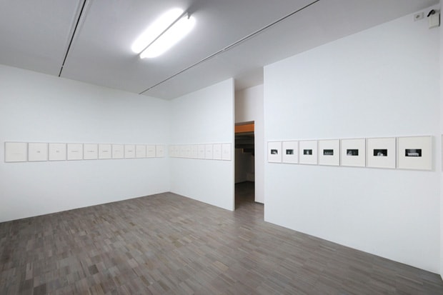 terence-koh-adansonias-exhibition