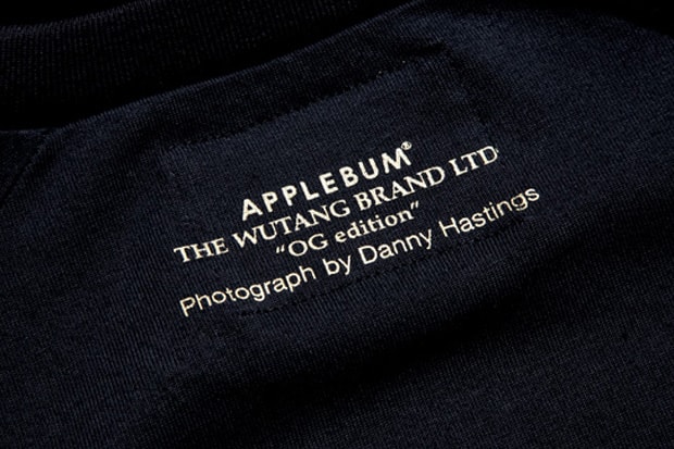 danny-hastings-wu-tang-applebum-raglan