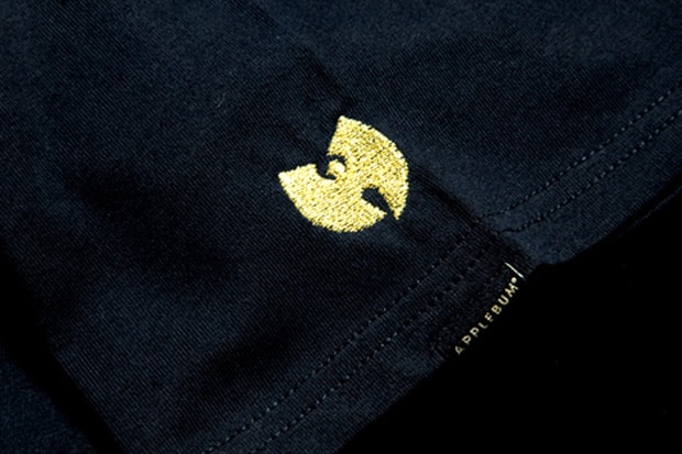 danny-hastings-wu-tang-applebum-raglan