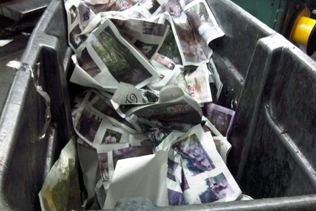 dqm-newspaper-2009-fall-winter-issue