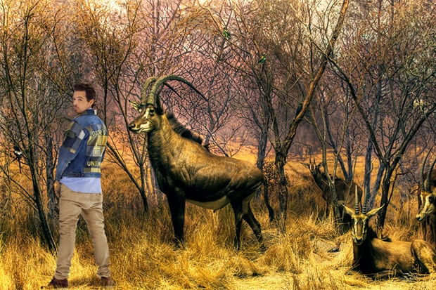 UNION "INTO THE WILD" Editorial