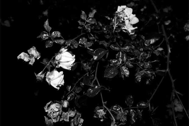 Via Snella 2010 Spring/Summer Lookbook