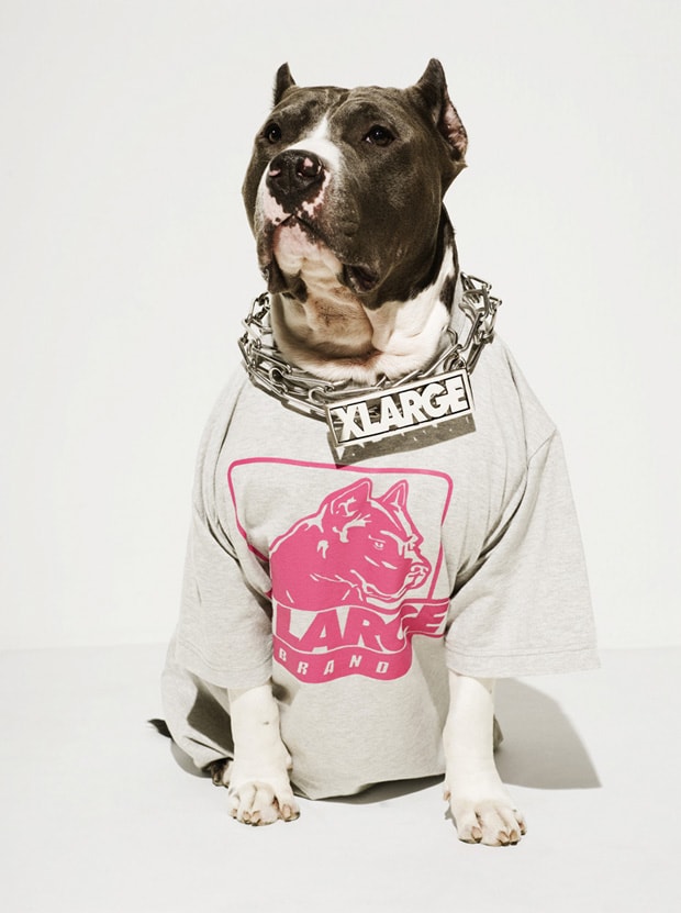 XLarge 2010 Spring Lookbook