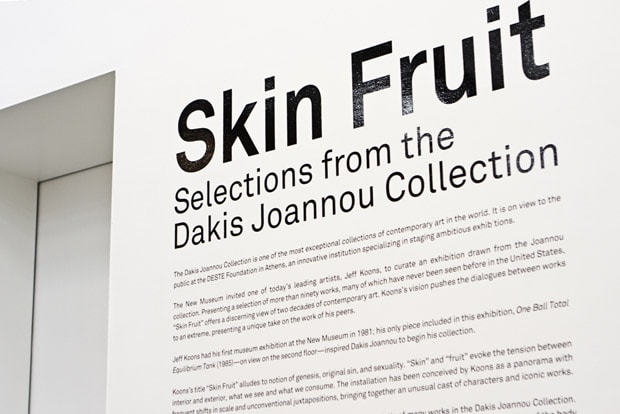 Skin Fruit: Selections from the Dakis Joannou Collection Curated by Jeff Koons Recap