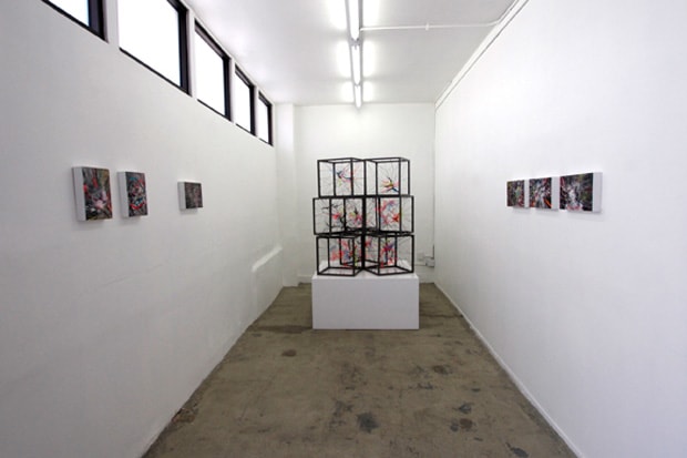 Mark Schoening "Cloudcookooland" Exhibition