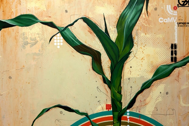 Blaine Fontana "The Golden Record" & Thomas Doyle "Collateral Damage" Exhibition Recap