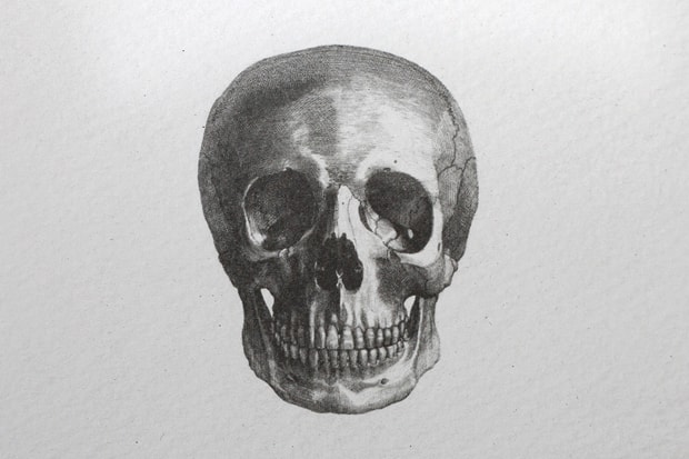 D. L & Co Skull Stationary