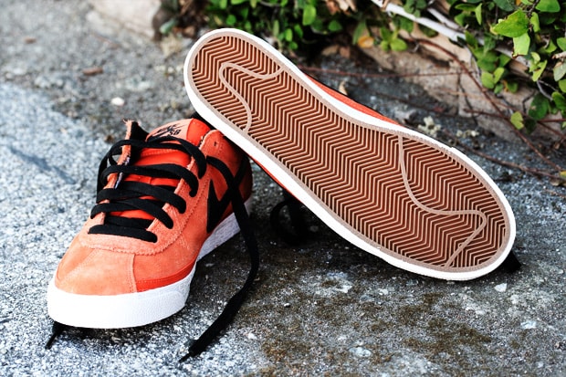 Nike 2010 Spring Zoom Bruin SB