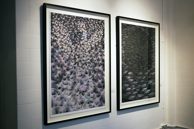 Kai and Sunny "Return To The Wild" Exhibition Recap