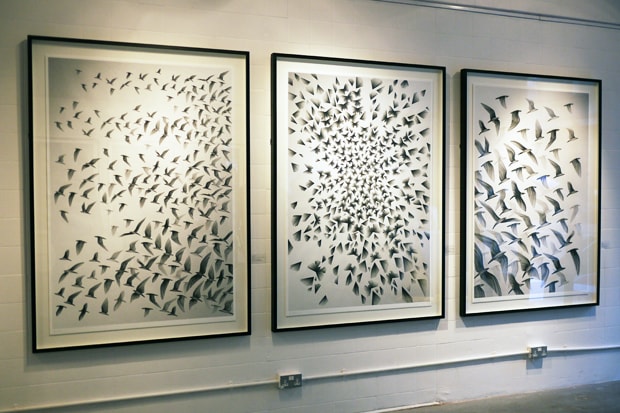 Kai and Sunny "Return To The Wild" Exhibition Recap
