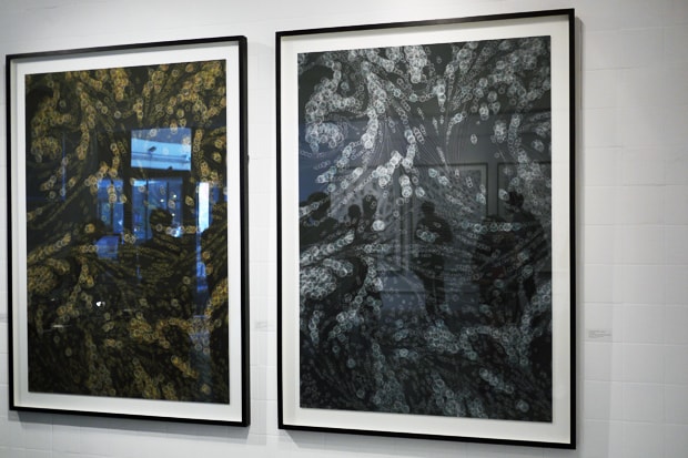 Kai and Sunny "Return To The Wild" Exhibition Recap