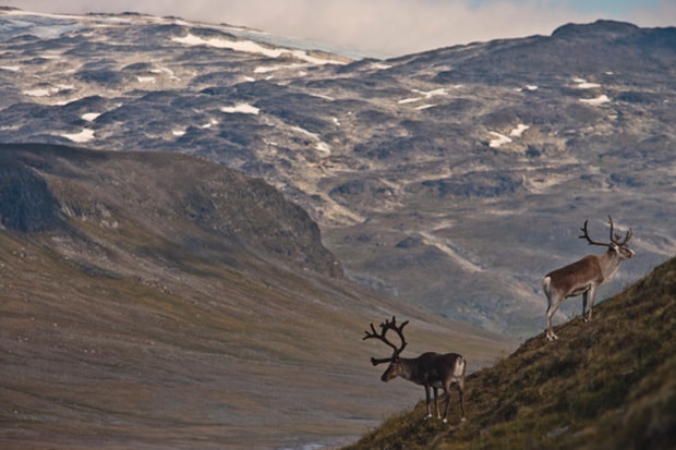 Fjällräven Classic 2010
