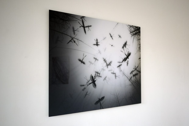 Yi Zhou "I AM YOUR SIMULACRUM" Exhibition Recap