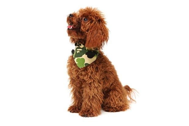 A Bathing Ape 2010 Fall/Winter Dog Store Collection - A Closer Look