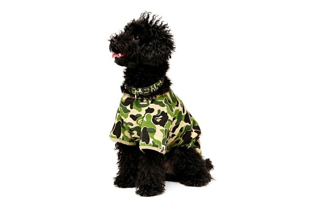 A Bathing Ape 2010 Fall/Winter Dog Store Collection - A Closer Look