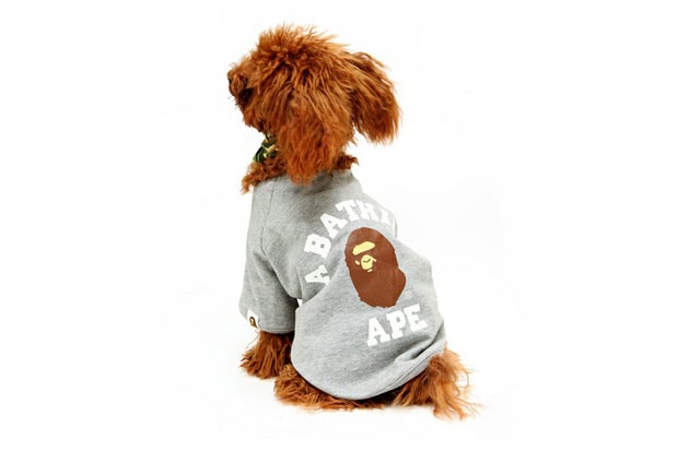A Bathing Ape 2010 Fall/Winter Dog Store Collection - A Closer Look
