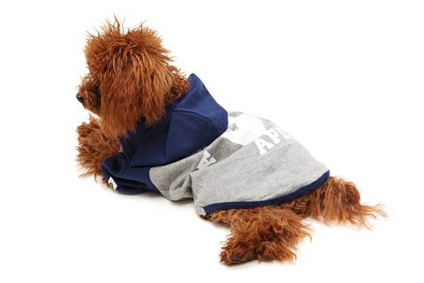 A Bathing Ape 2010 Fall/Winter Dog Store Collection - A Closer Look
