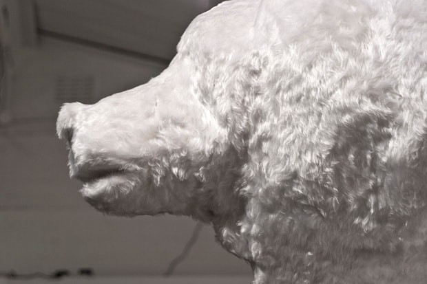 Arran Gregory "Trophy Room" Exhibition Recap