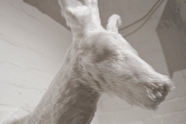 Arran Gregory "Trophy Room" Exhibition Recap