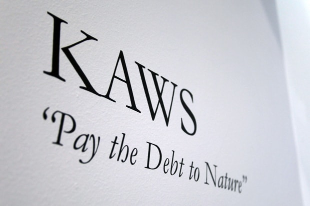 KAWS "Pay the Debt to Nature" Exhibition Recap