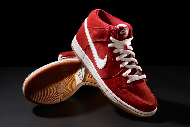 Autopsy of the Nike Dunk Pro SB 