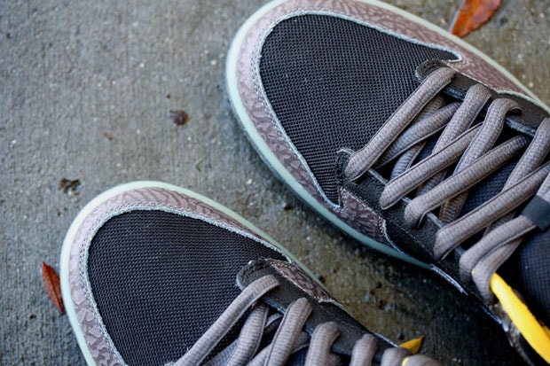 Nike SB Dunk Low Premium "Yellow Curb"