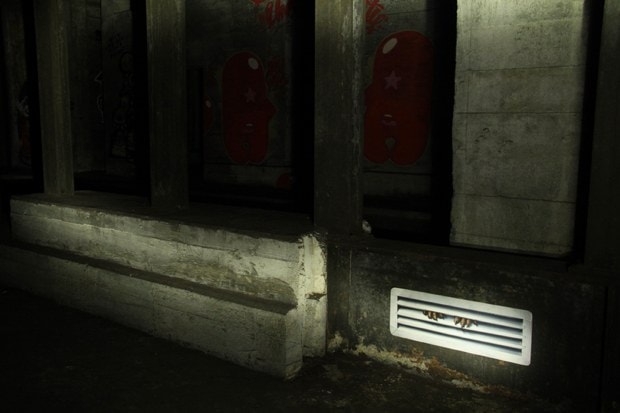 The Underbelly Project