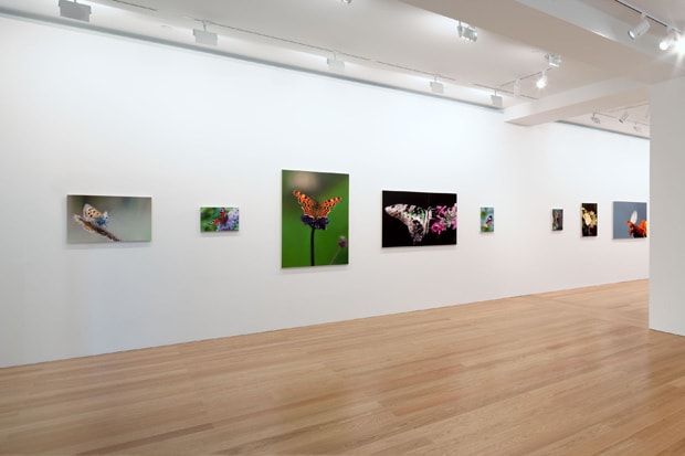 Damien Hirst "Forgotten Promises" @ Gagosian Hong Kong