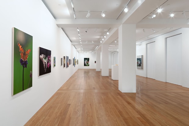 Damien Hirst "Forgotten Promises" @ Gagosian Hong Kong