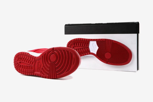 The Nike SB Dunk Pro 1985-2011 Book Further Look