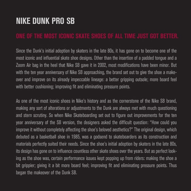 The Nike SB Dunk Pro 1985-2011 Book Further Look