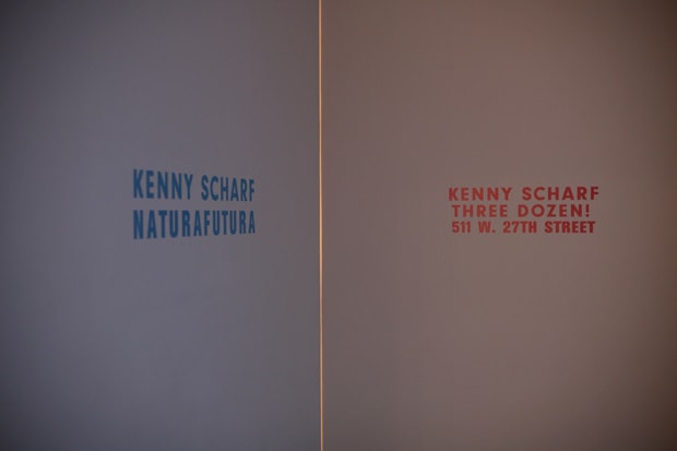 Kenny Scharf "NATURAFUTURA" & "THREE DOZEN!" Exhibition Recap