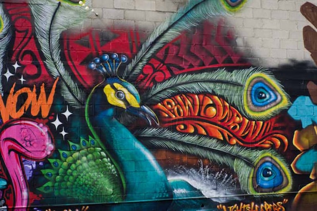POW WOW Hawai'i Event Recap