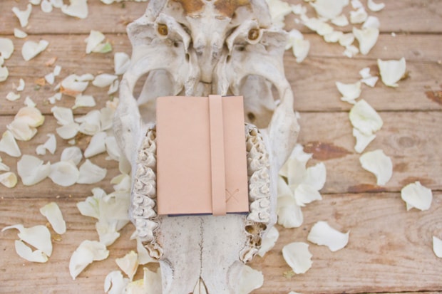 Draught Dry Goods 2011 Spring/Summer Lookbook
