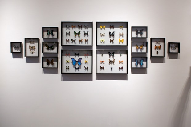 D*Face “Going Nowhere Fast” Exhibition @ Corey Helford Gallery Recap