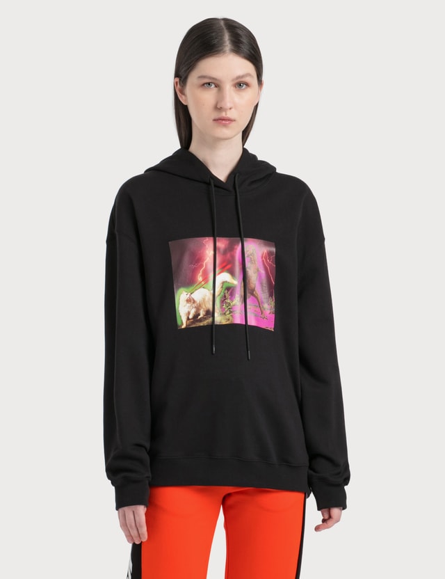 msgm cat hoodie