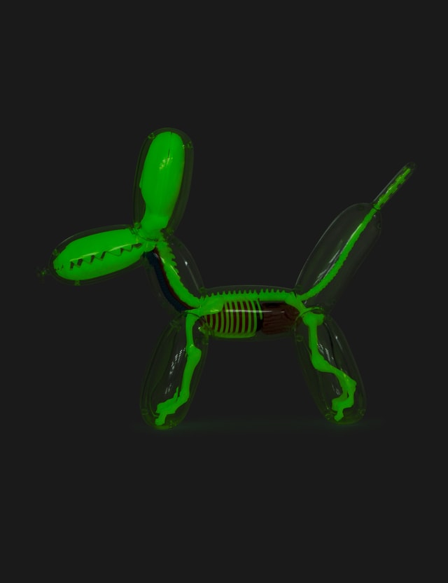 4D Master Glow  In The Dark  Balloon  Dog  Anatomy  HBX