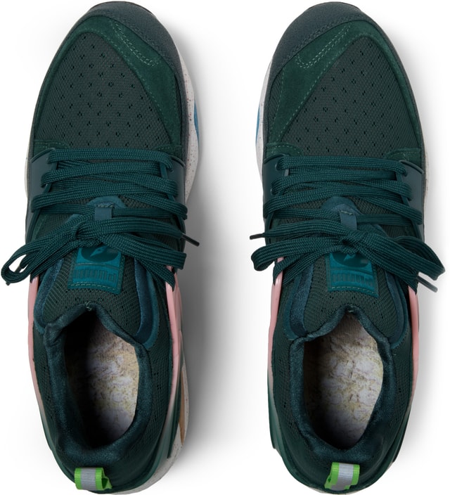 puma black ponderosa pine