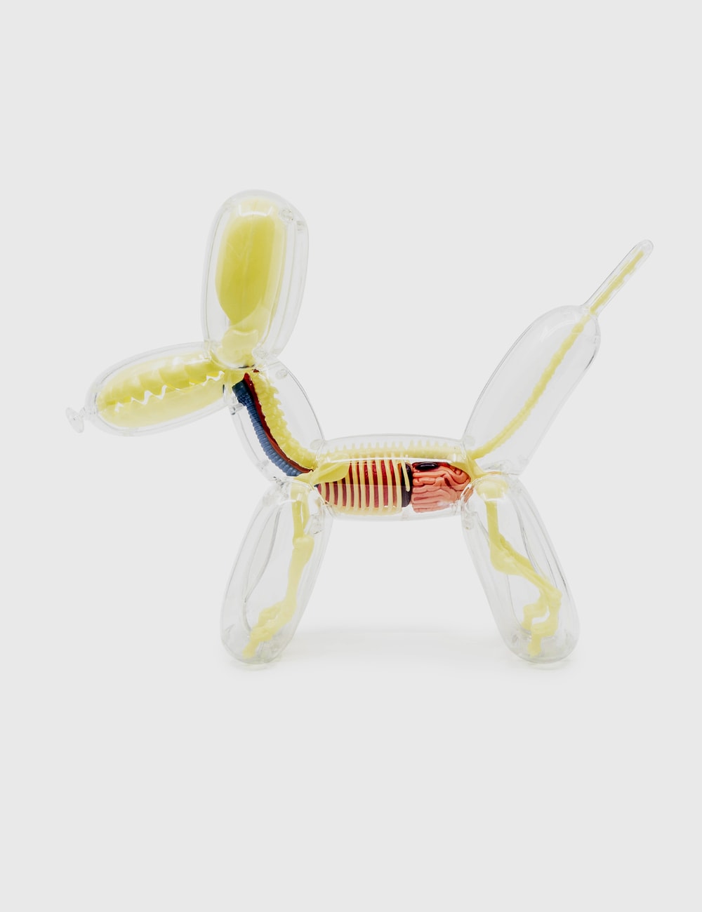 4D Master Glow In The Dark Balloon Dog Anatomy HBX 4D Master Glow In The Dark Balloon Dog Anatomy HBX
