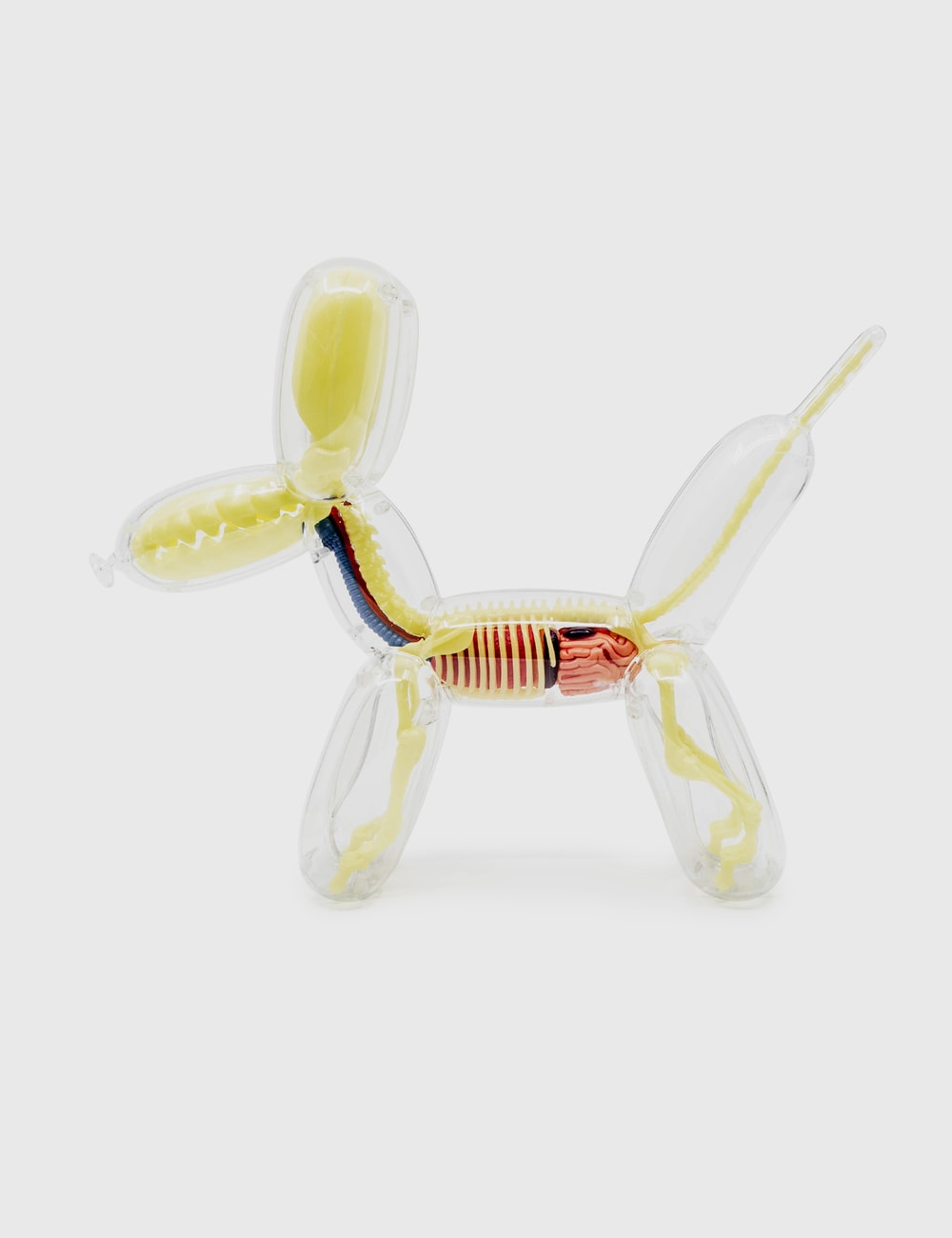 4D Master Glow  In The Dark  Balloon  Dog  Anatomy  HBX