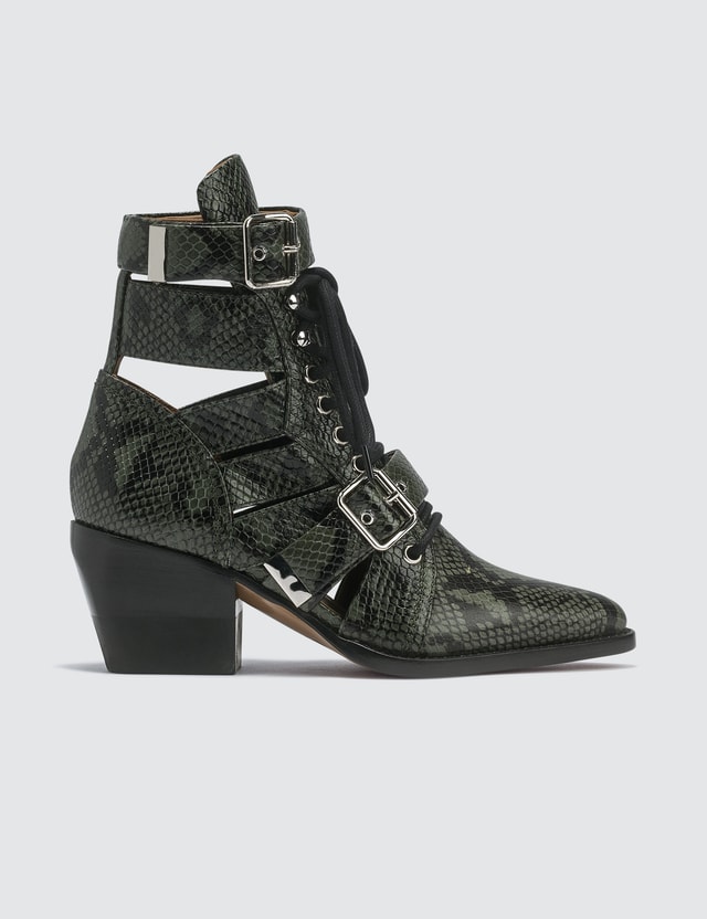 chloe rylee python