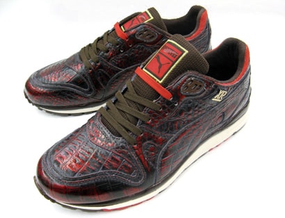 xr puma
