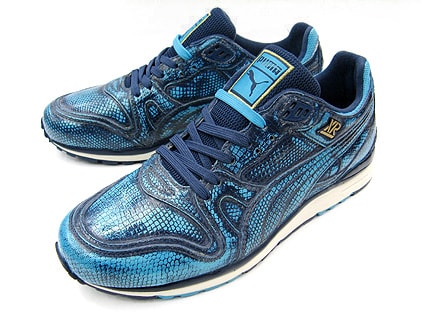 xr puma