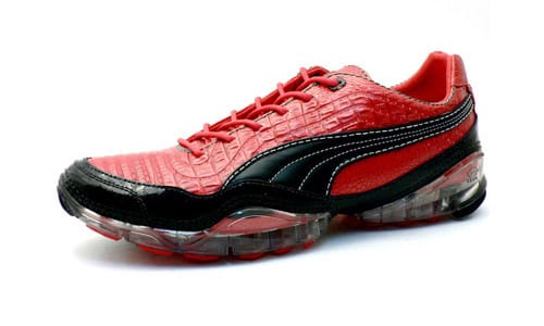 Puma cell clearance meio