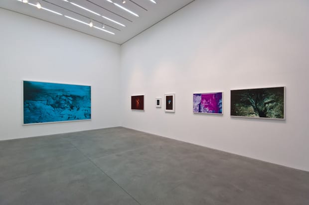 【Ryan McGinley：Moonmilk】　　★★新品 Ryan McGinley 