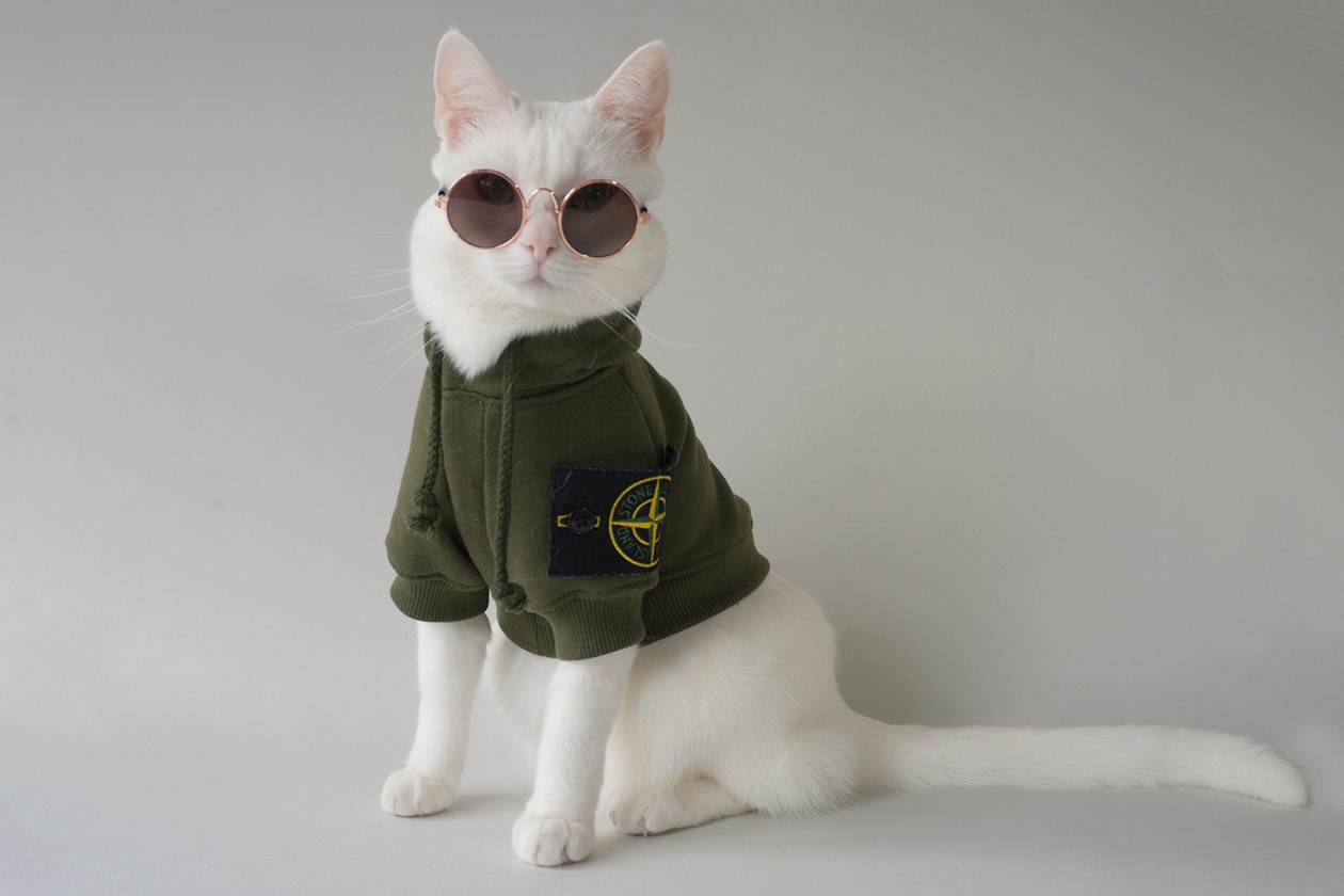 gradient cat eye sunglasses Instagram Hyped Cheap Novogas Jordan Outlet Cheap Novogas Jordan Outlet Pet Supreme Stussy Off White Virgil Abloh Vetements Raincoat Hoodie Carhartt Stone Island Vans Video Interview Rotterdam