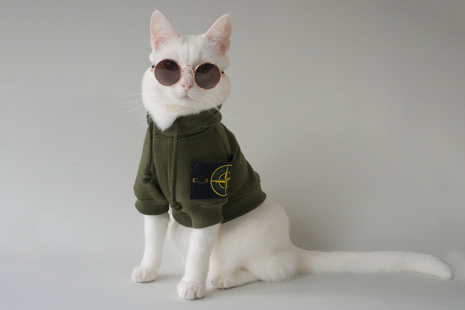 Meet Zappa The Cat Instagram S Most Hyped Pet Hypebae