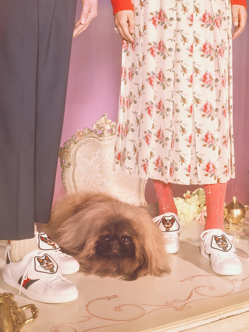 Gucci Year of the Dog 2018 Collection