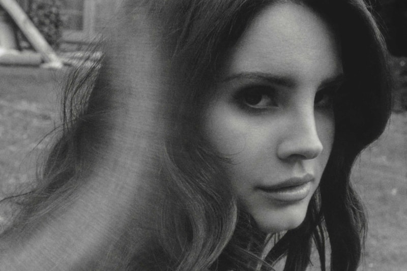 Lana Del Rey Attempted Kidnapping in Florida Michael Hunt Orlando