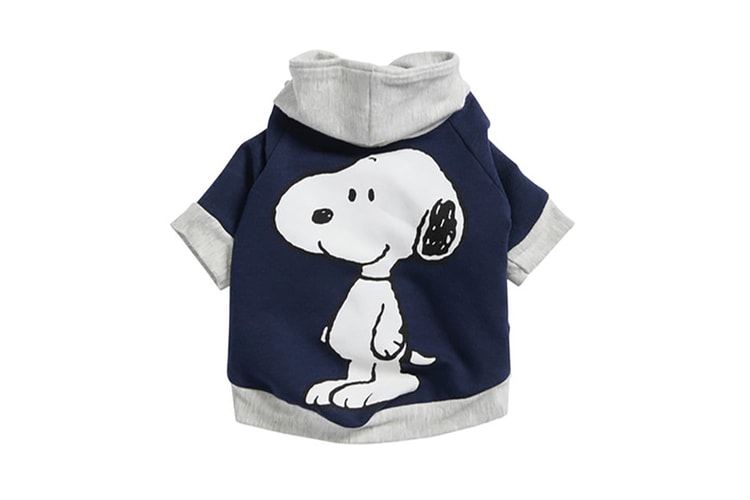 Nordstrom Just Dropped Everything You Need – For You and Your Dog